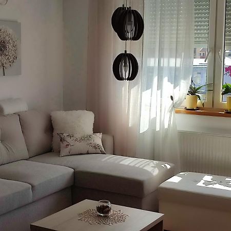 Apartment Rosa Нови-Сад Экстерьер фото