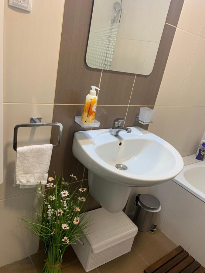 Apartment Rosa Нови-Сад Экстерьер фото